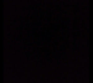 Meet your Posher, Brendan